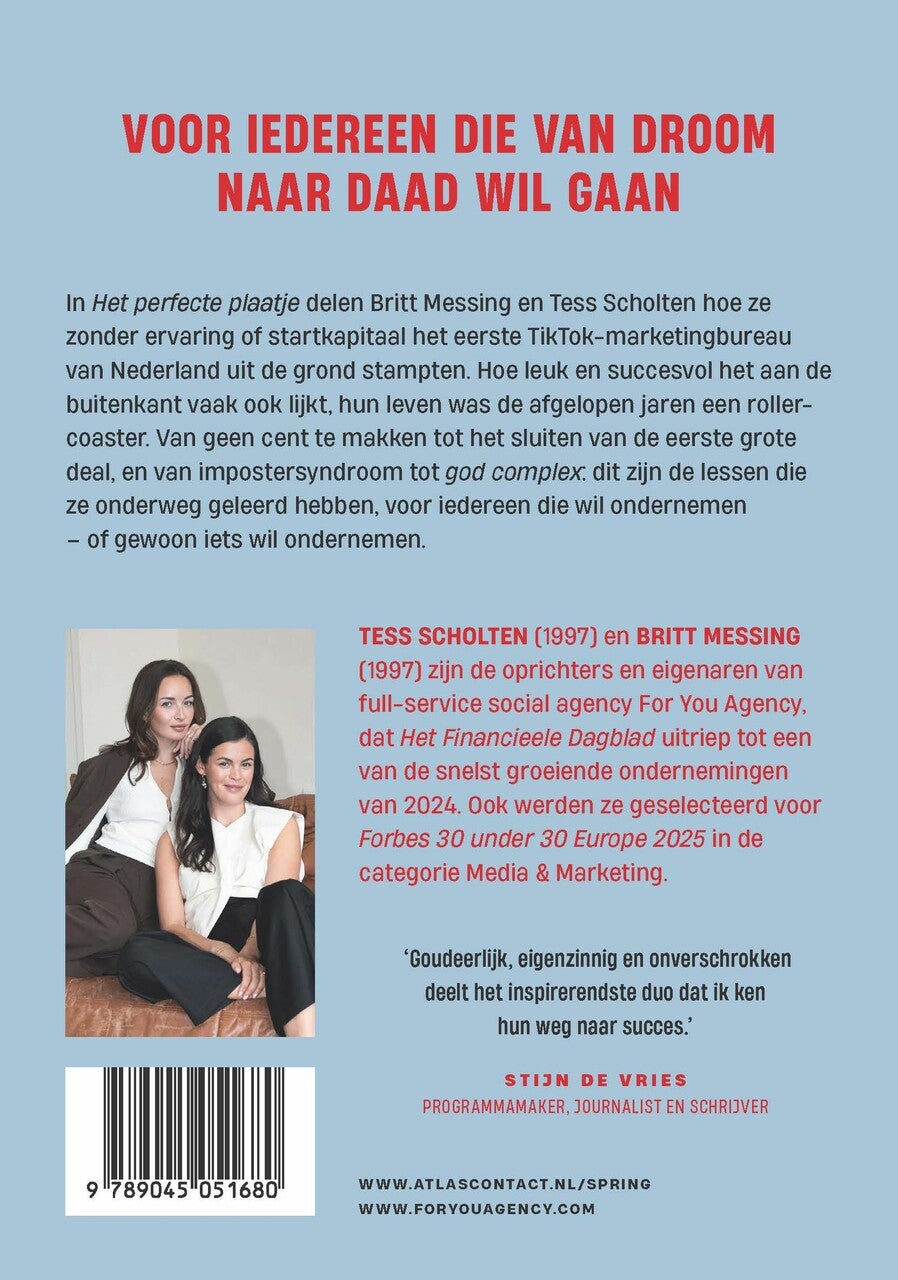 Het perfecte plaatje (Paperback)
