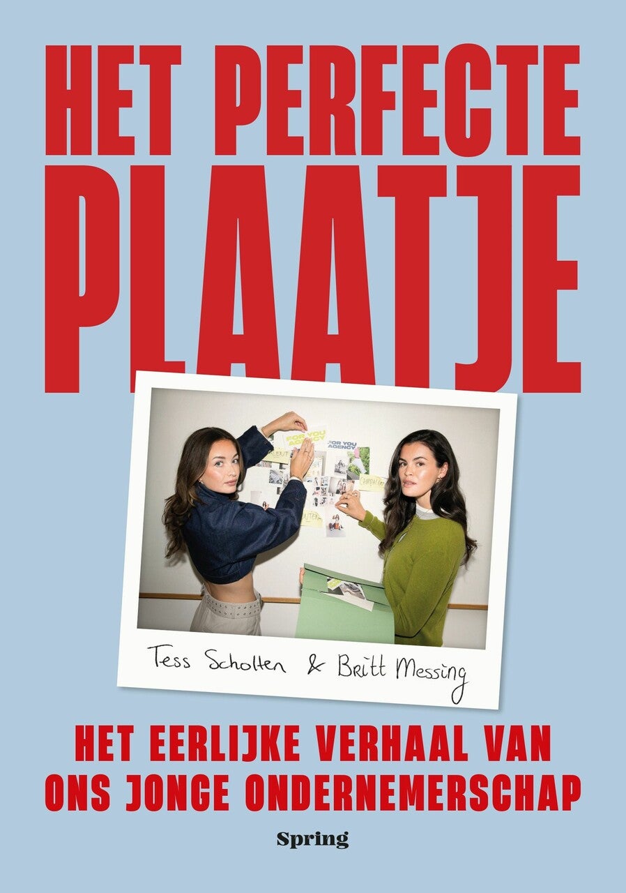 Het perfecte plaatje (E-book)
