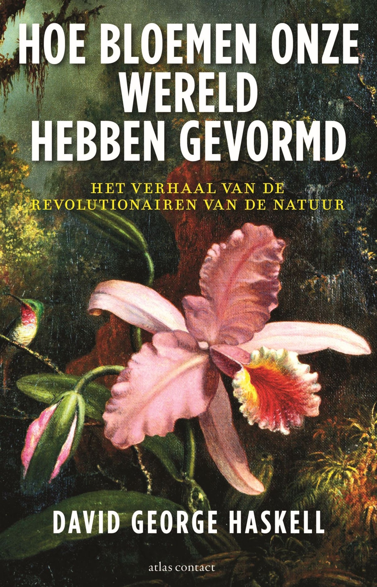 Hoe bloemen onze wereld hebben gevormd (Paperback)