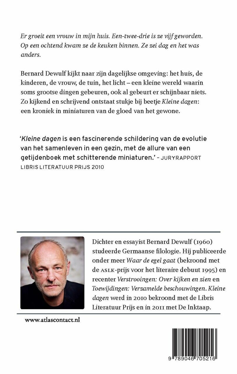 Kleine dagen (E-book)