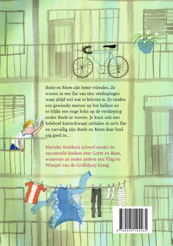 De koning van de flat (Hardback)