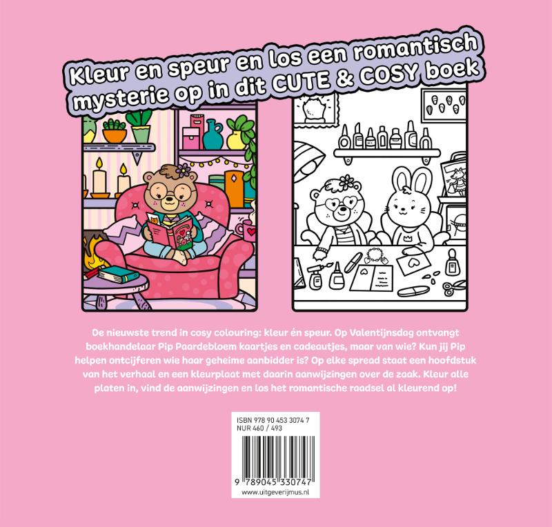 Kleur en speur: De geheime aanbidder (Paperback)