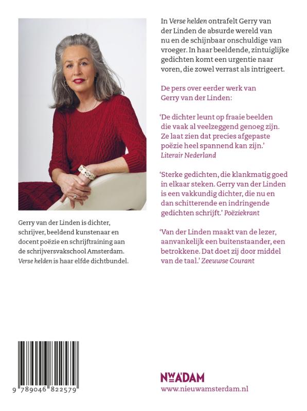 Verse helden (Paperback)