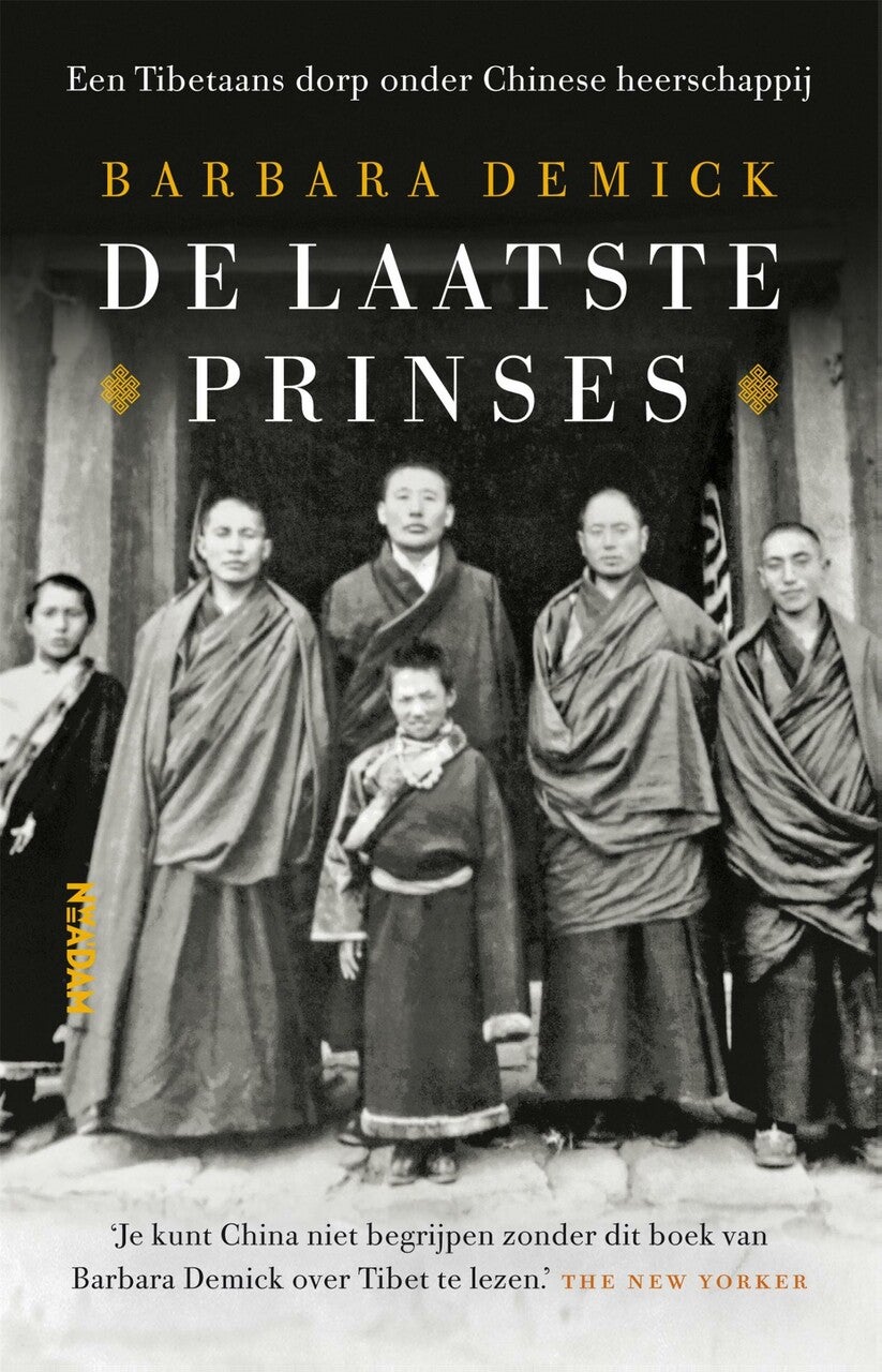 De laatste prinses (E-book)