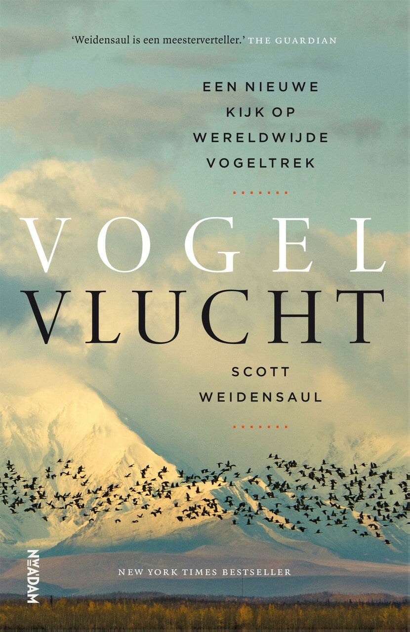 Vogelvlucht (E-book)