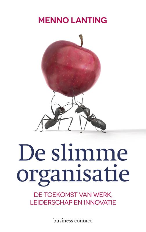 De slimme organisatie (E-book)