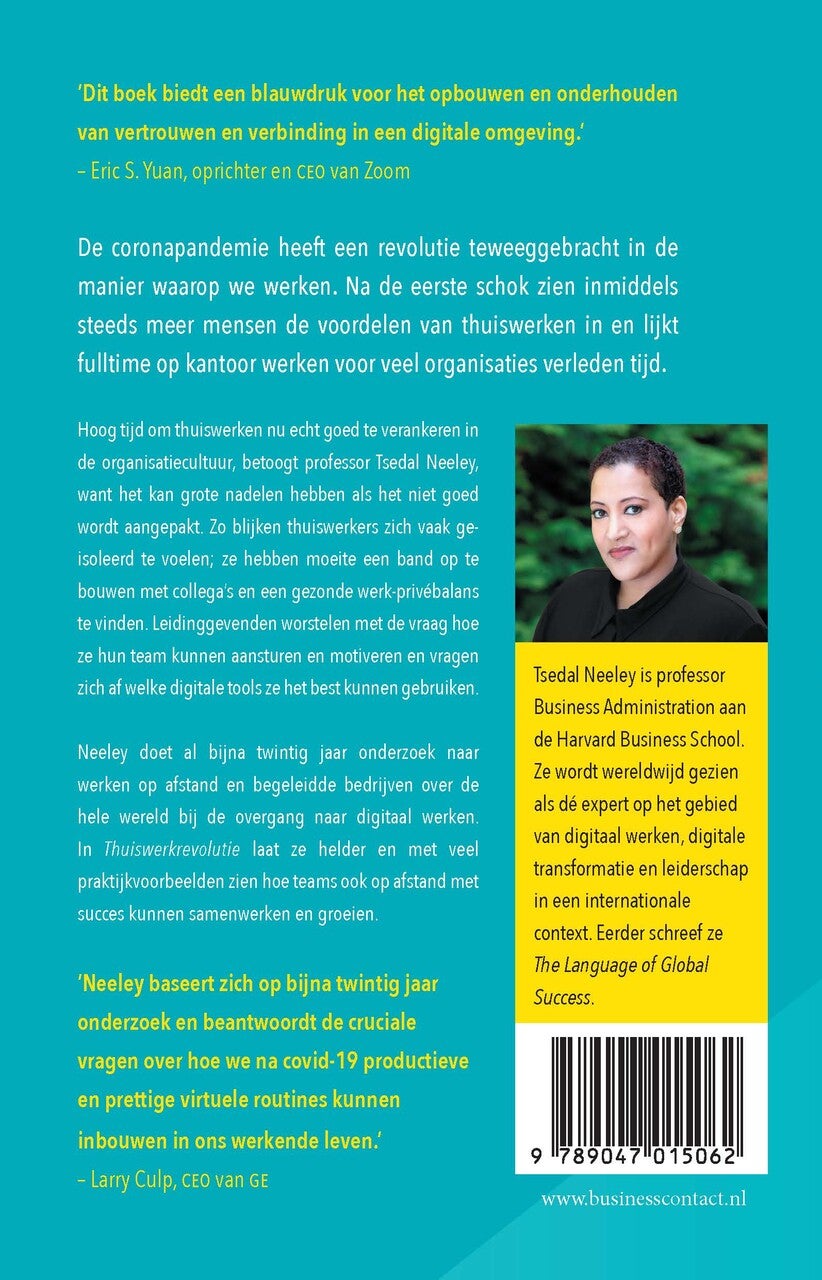 Thuiswerkrevolutie (Paperback)