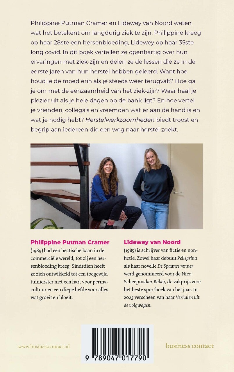 Herstelwerkzaamheden (E-book)