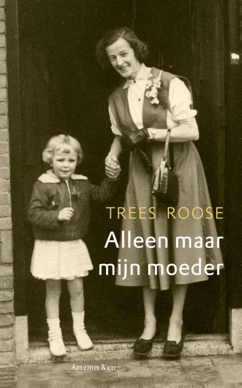 Alleen maar mijn moeder (E-book)