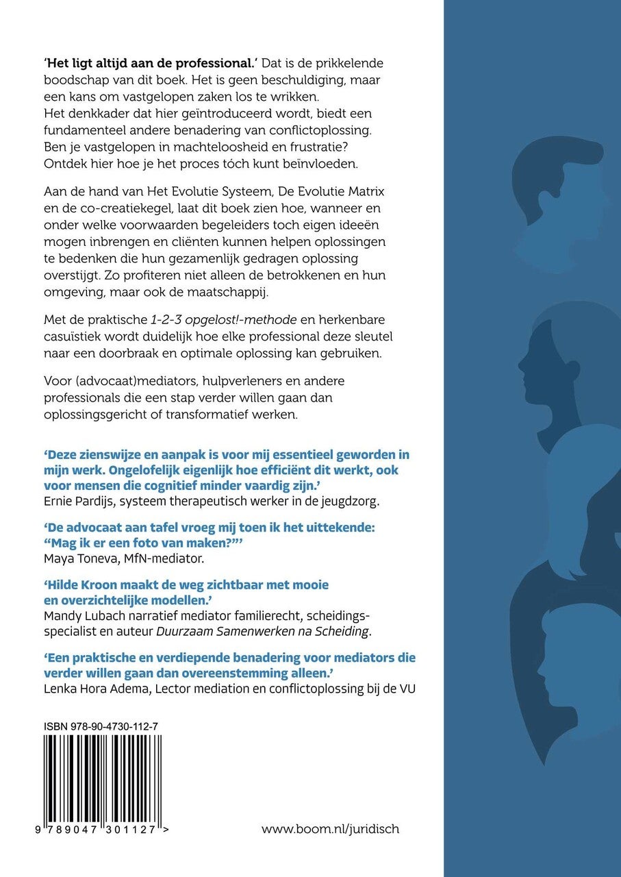 Introductie transcendente mediation (Paperback)