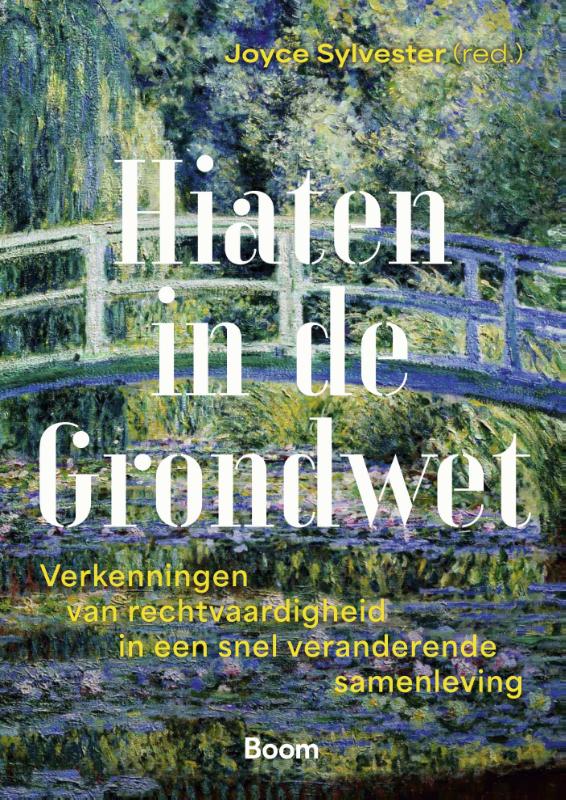 Hiaten in de Grondwet (Paperback)