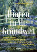 Hiaten in de Grondwet (Paperback)