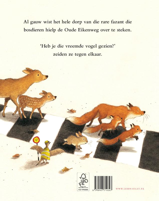 Met Filippa Fazant naar de overkant (Hardback)