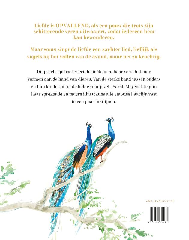 Liefde is… (Hardback)