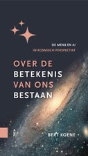 Over de betekenis van ons bestaan (E-book)