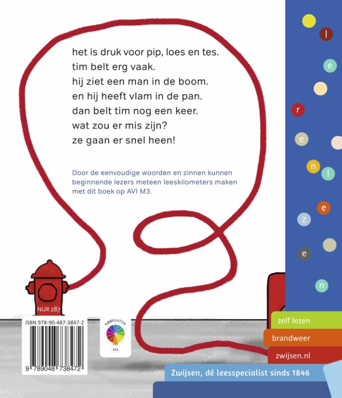 in vuur en vlam (Hardback)