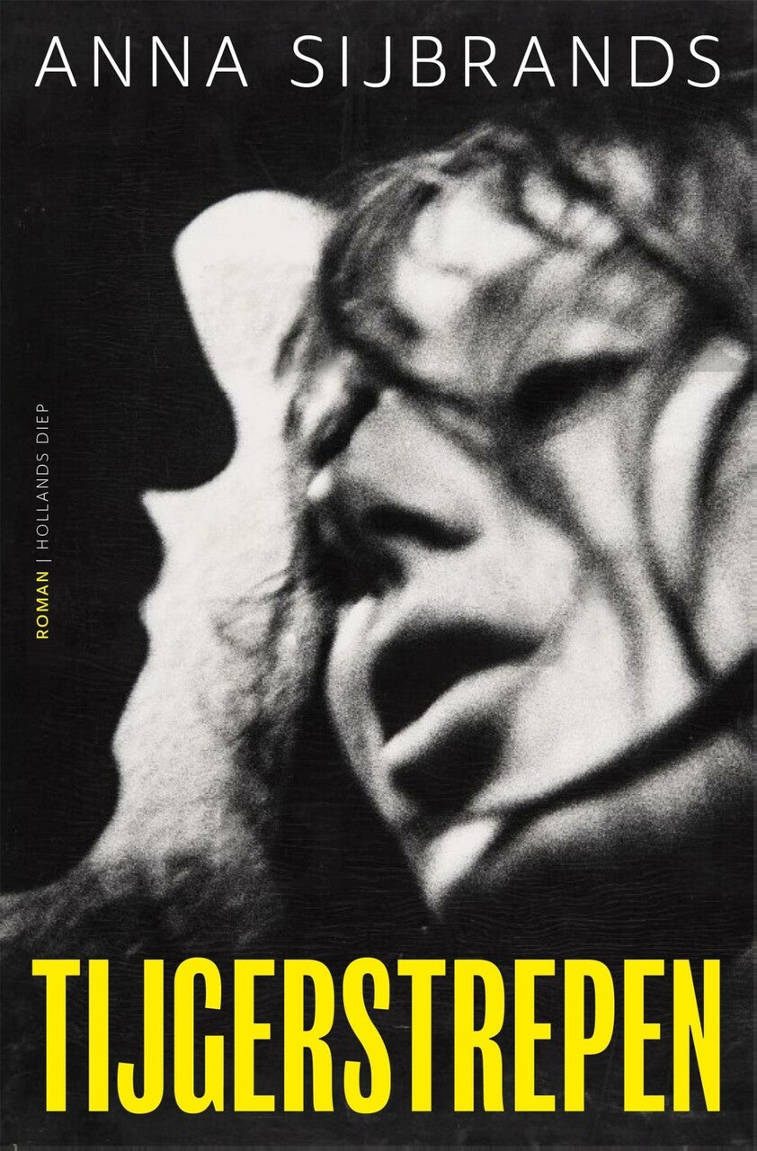 Tijgerstrepen (E-book)