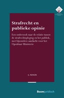 Strafrecht en publieke opinie (E-book)
