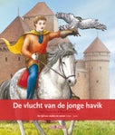 De vlucht van de jonge havik (Hardback)