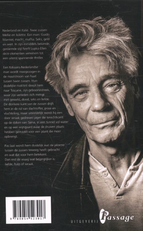 De zussen Borgesius (Paperback)