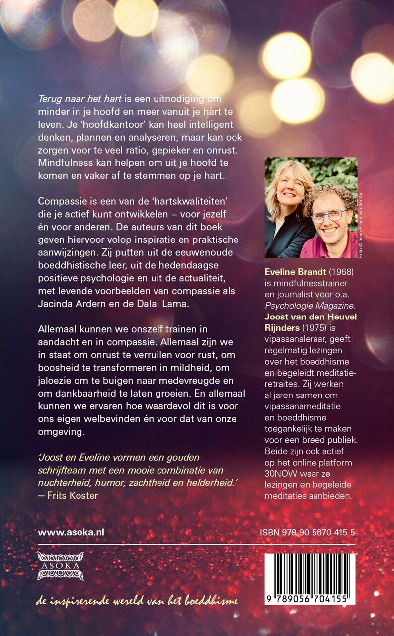 Terug naar het hart (E-book)