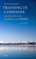 Training in compassie (Paperback)