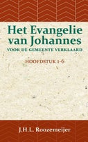 Het Evangelie van Johannes voor de Gemeente verklaard 1 (Paperback)