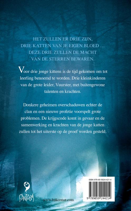 Het tweede gezicht (Hardback)