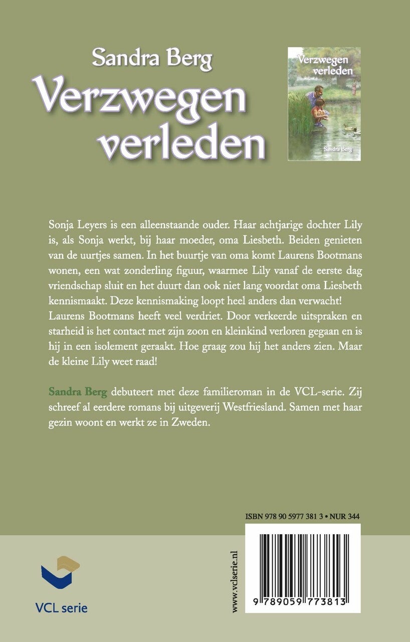 Verzwegen verleden (E-book)