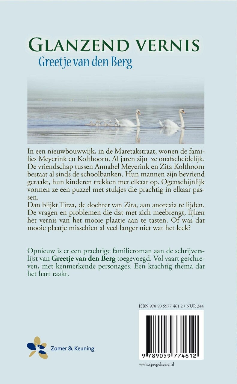 Glanzend vernis | (E-book)