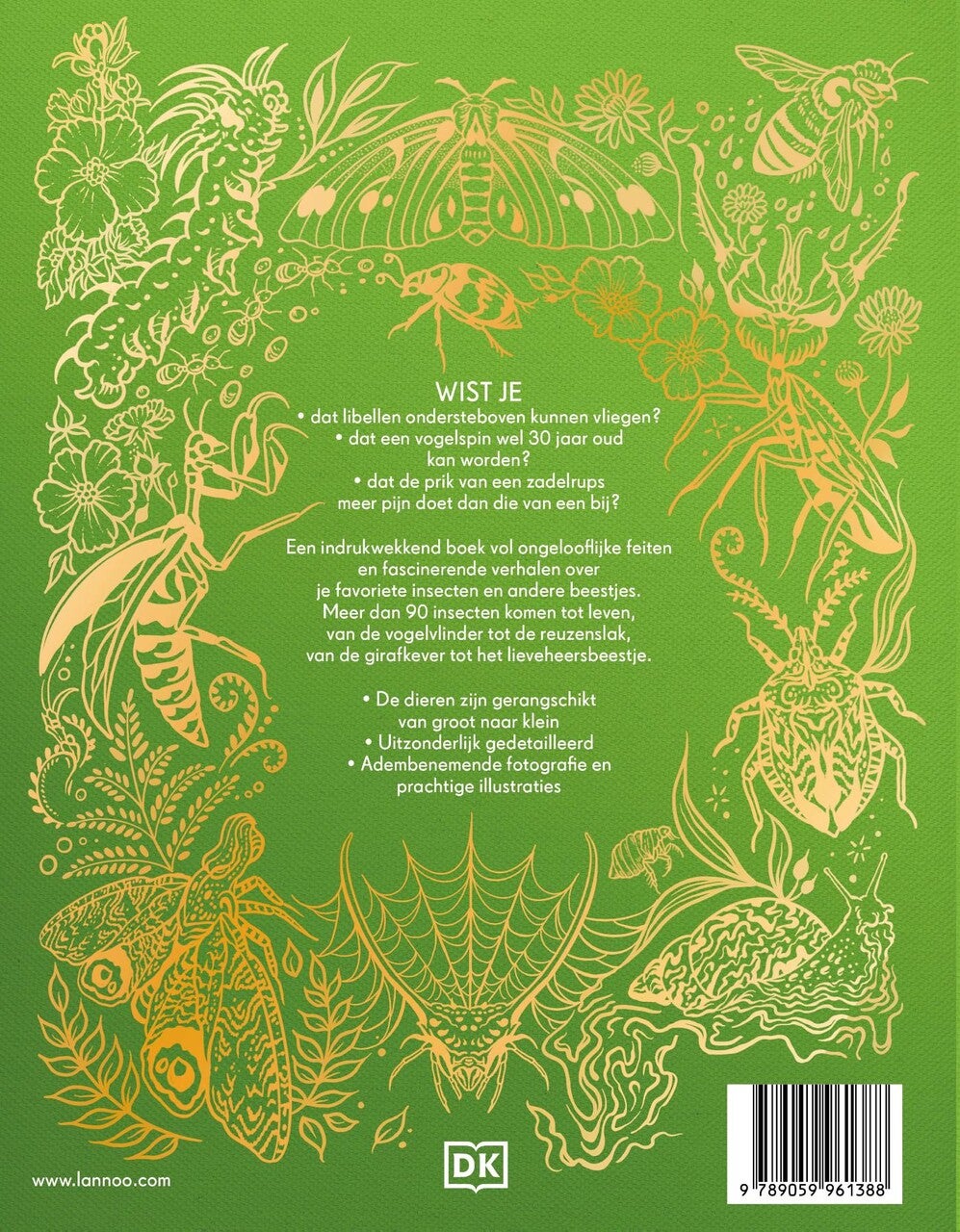 Het dikke boek van alle bijzondere insecten en andere beestjes (Hardback)