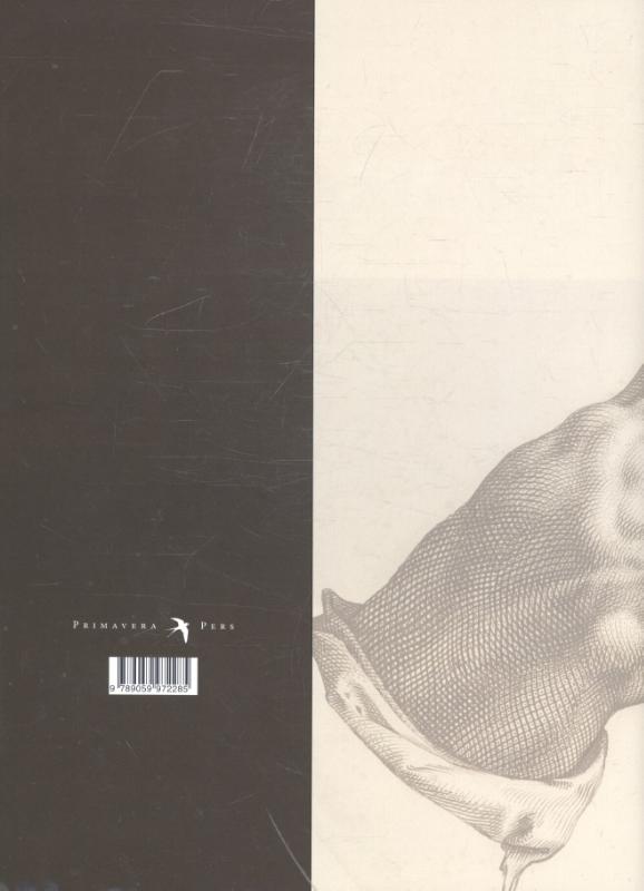 The Netherlandish drawings of the 16th century in Teylers Museum (Hardback)