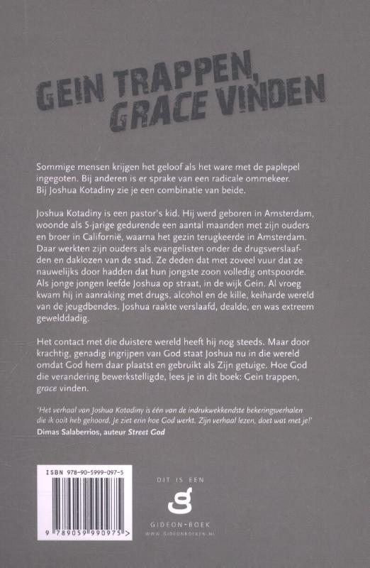 Gein trappen, grace vinden (Paperback)