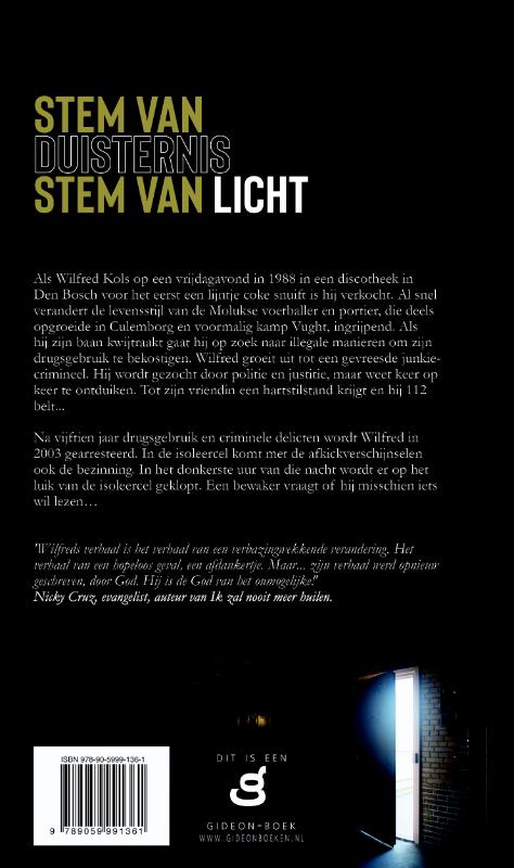 Stem van duisternis, stem van licht (Paperback)