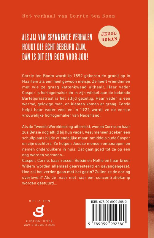 Het meisje uit de Barteljorisstraat (Paperback)