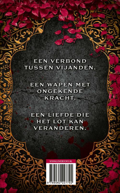 Heir of illusion (Paperback)
