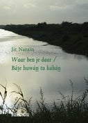 Waar ben je daar / Báte huwán tu kahán (Paperback)