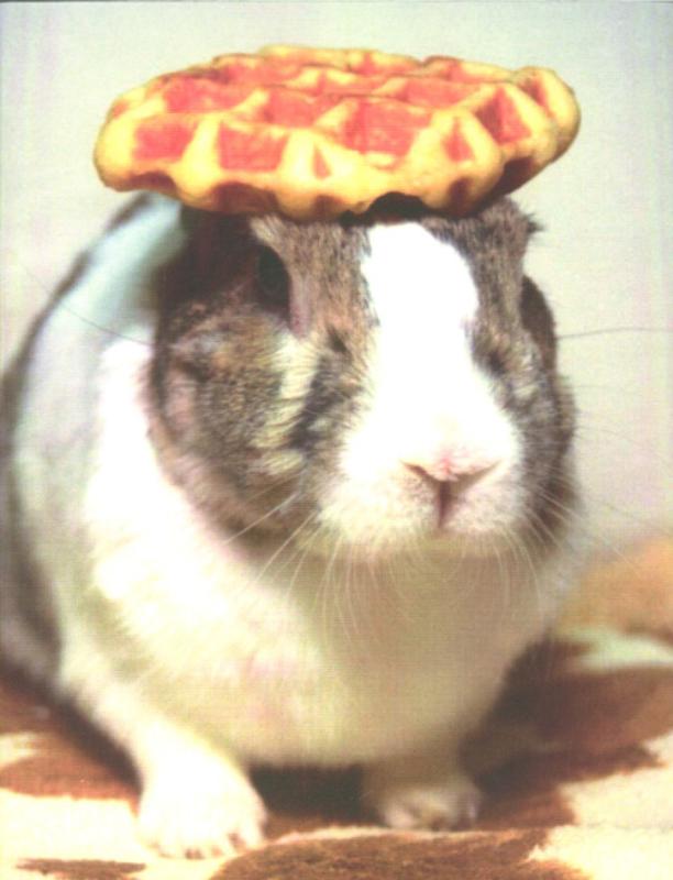 isbn-9789070478285_front_cover