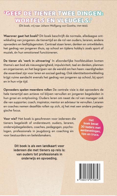 Het tienerbrein: een ander perspectief (Paperback)