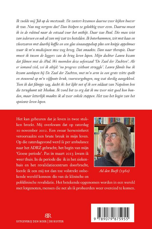 Overeind na een herseninfarct (Paperback)