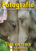 Fotografie: dierentuinfotografie in Diergaarde Blijdorp (E-book)