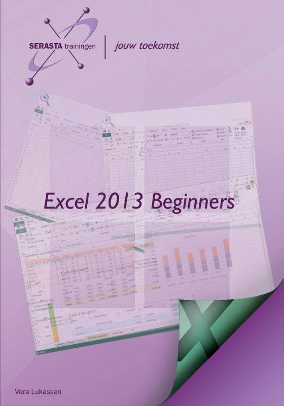 Excel 2013 (Paperback)