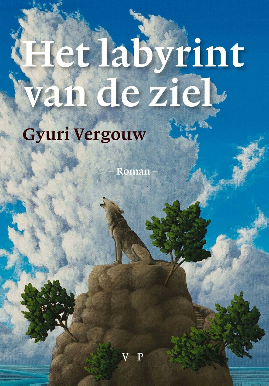 Het labyrint van de ziel (E-book)