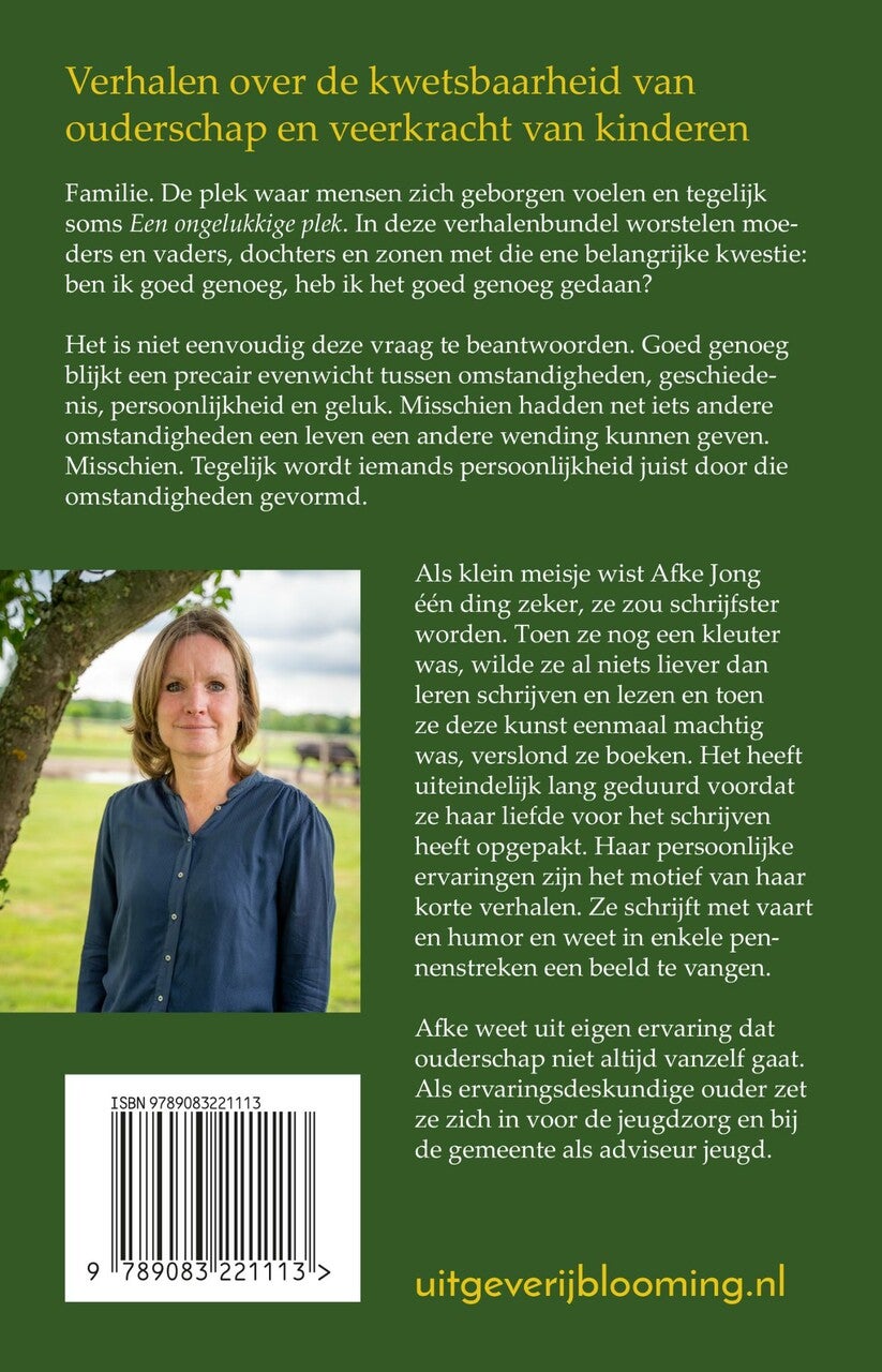Een ongelukkige plek (E-book)