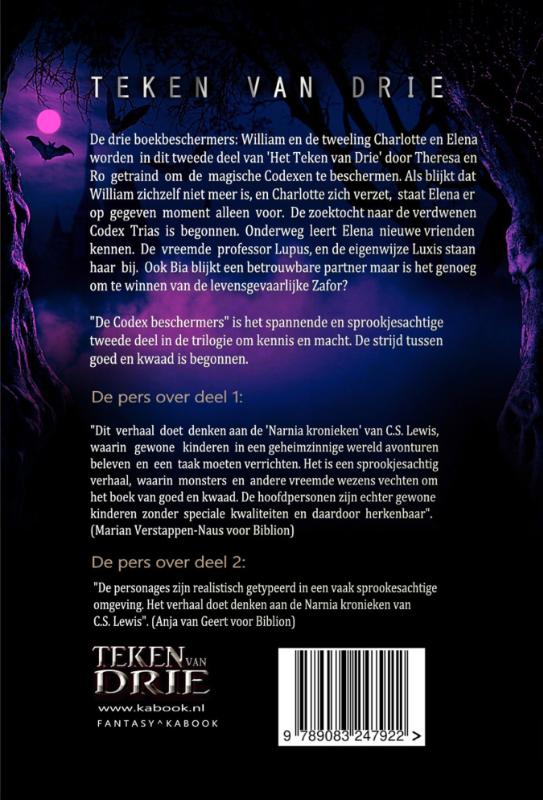 Teken van Drie 2 - Teken van Drie en de Codex Beschermers (Paperback)