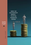 The EU Pay Transparency Directive (Paperback)