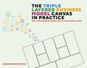 The Triple Layered Business Model Canvas in practice (Paperback)