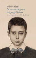 De verwarring van een jong Törless (E-book)