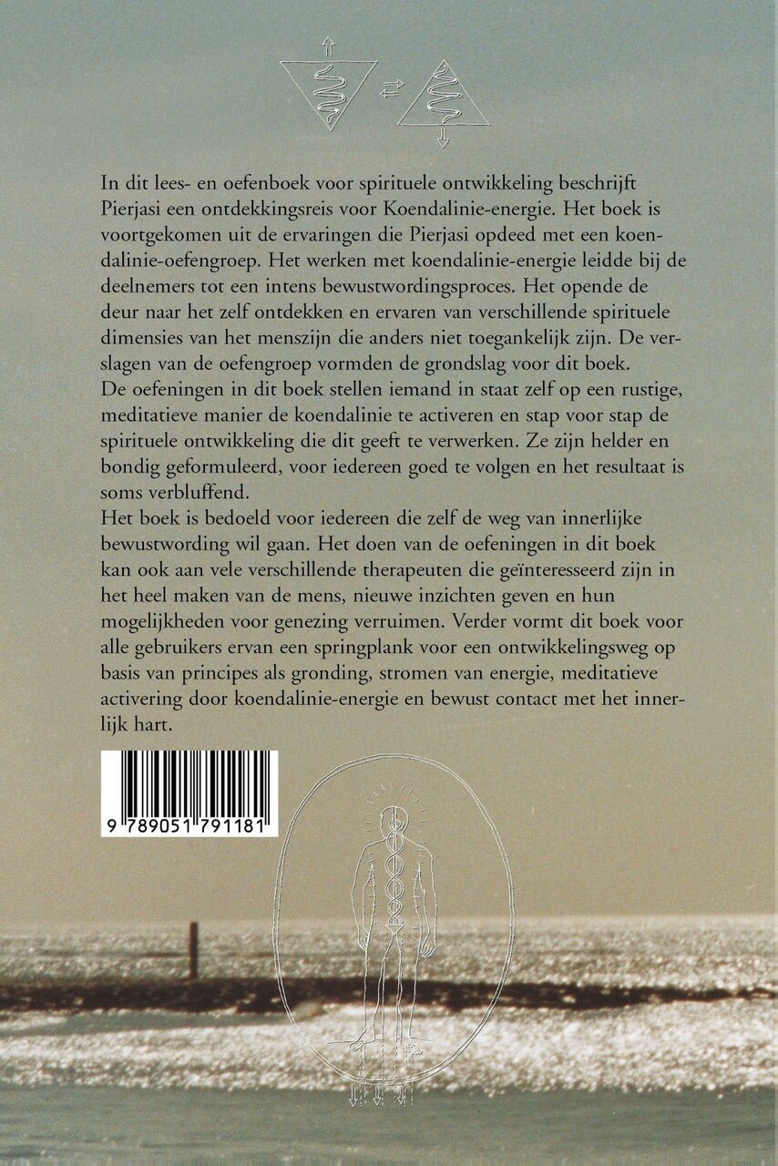 Ontdekkingsreis Koendalinie-energie (E-book)
