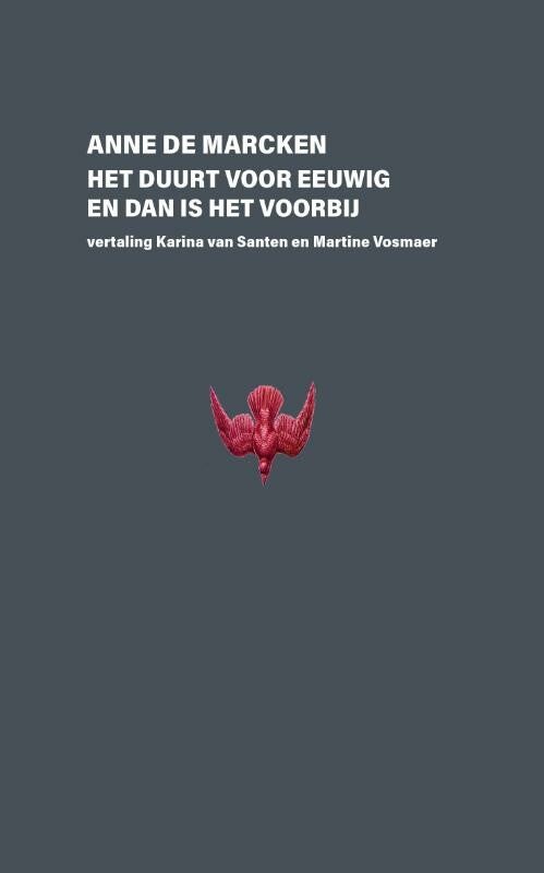 Het duurt eeuwig en dan is het voorbij (Paperback)